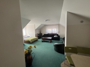 Apartament deLUX