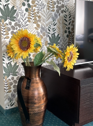 Apartament typu studio