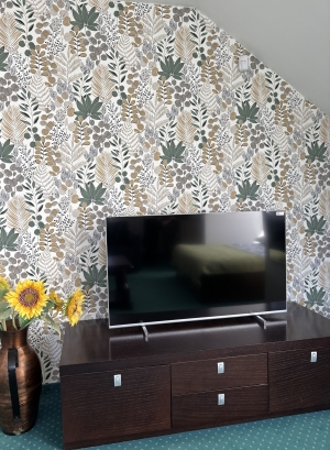 Apartament Studio